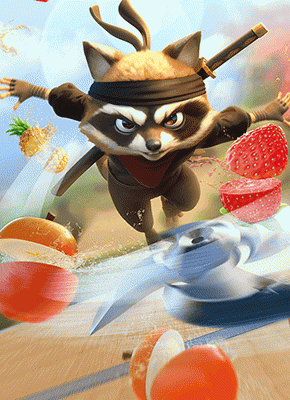 Ninja Raccoon Frenzy