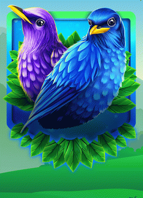 Formosan Birds