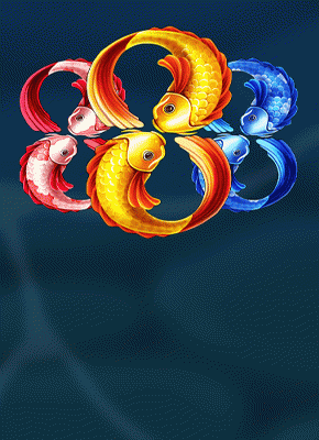 Treasure Carp
