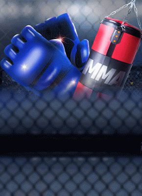 MMA Champions
