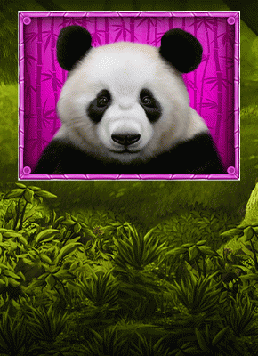Panda's Run