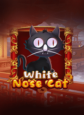 White Nose Cat