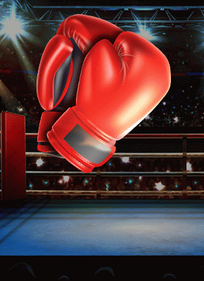 Boxing Ring Champions