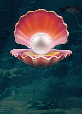 1 Reel Reef