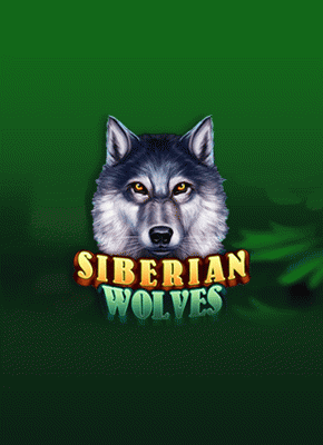 Siberian Wolves