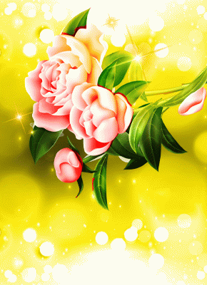 Valentine Collection 30 Lines