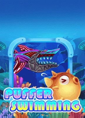 Puffer Swimming