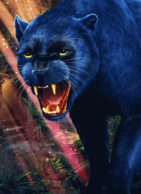 Book Of Panther - Wild Dawn