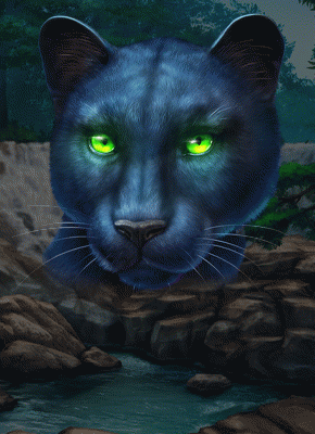 1 Reel Panther