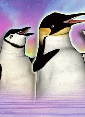 Lucky 3 Penguins