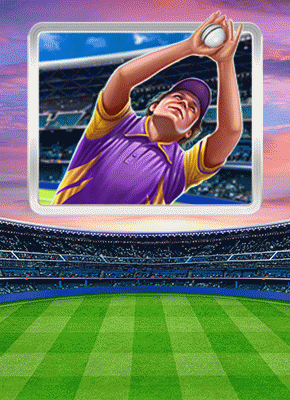 Cricket Mania