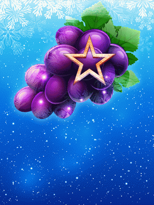 Fruits On Ice Collection 30 Lines