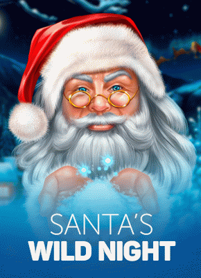 Santa’s Wild Night
