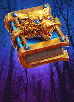 Book Of The Night Wolf