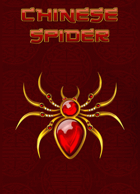 Chinese Spider