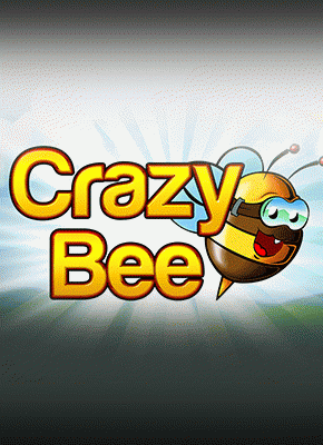 Crazy Bee