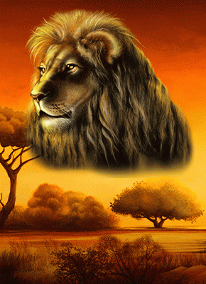 Savannah King