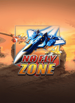 No Fly Zone