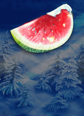 Frozen Fruits - Chase'N'Win