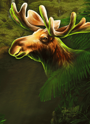 Wolf Fang – Deep Forest