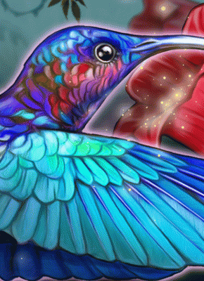 Colibri Wild