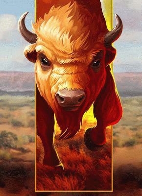 Big Wild Buffalo