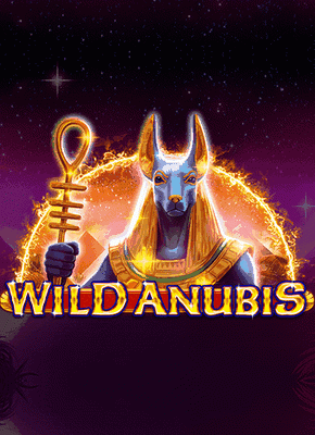 Wild Anubis