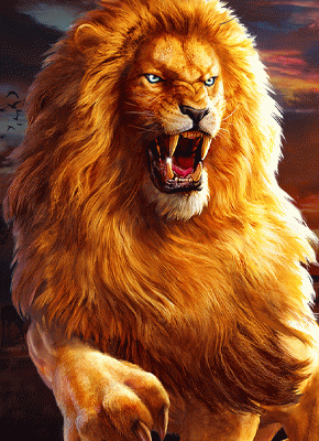 African Fortune