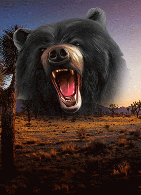 Wolf Fang –The Wilderness