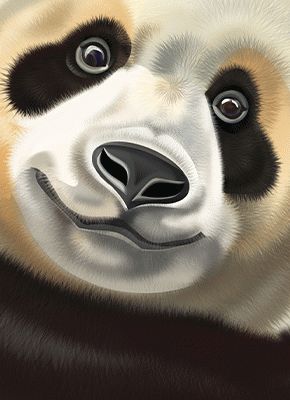 Big Panda