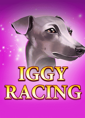 Iggy Racing