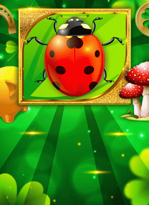 Lucky Lady Bug
