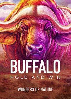 Buffalo Hold and Win