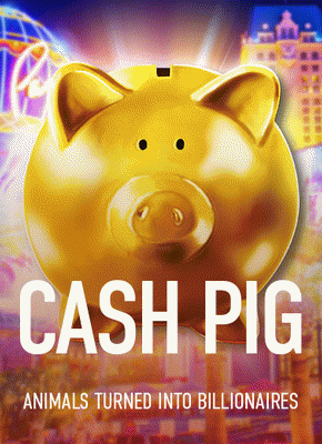 Cash Pig