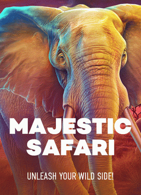Majestic Safari