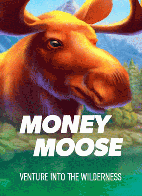 Money Moose