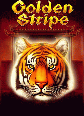 Golden Stripe