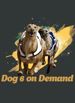 Dog 6 On Demand