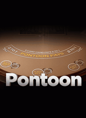 Pontoon 21