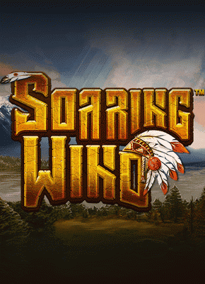 Soaring Wind