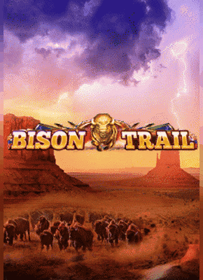 Bison Trail
