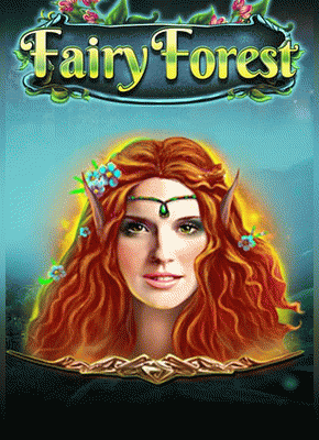Fairy Forest