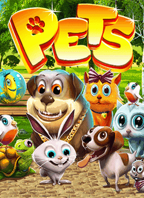 Pets