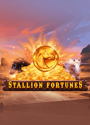 Stallion Fortunes