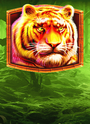 Jungle Gorilla