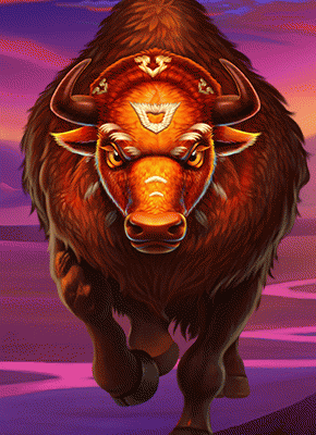 Wild Bison Charge