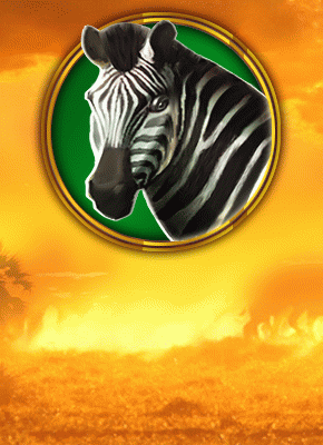 Hot Safari