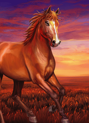 Happy Hooves