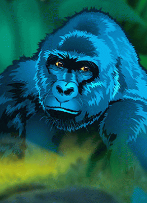 Congo Cash