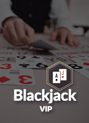 Blackjack VIP 14